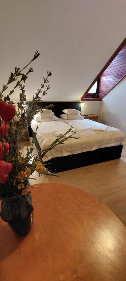Forras Fogado Bed and Breakfast Bükkszék Buitenkant foto