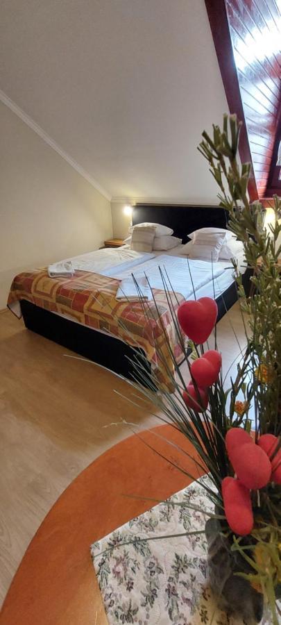 Forras Fogado Bed and Breakfast Bükkszék Buitenkant foto