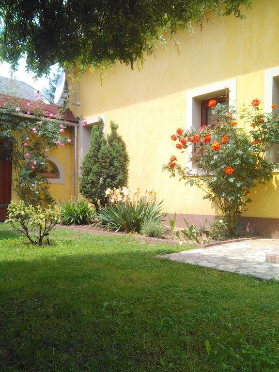 Forras Fogado Bed and Breakfast Bükkszék Buitenkant foto